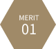 MERIT01