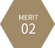 MERIT02