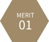 MERIT01